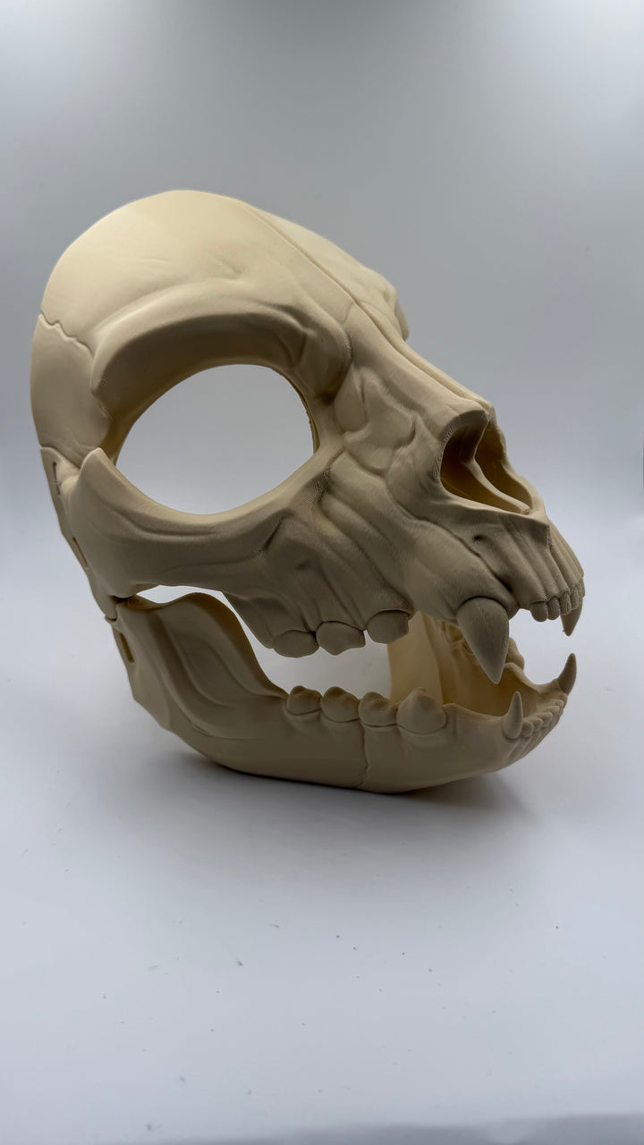 Feline Skull Mask with Moving Jaw | Realistic Animal Skull Cosplay Mask | Gothic Horror Cat Skull Helmet