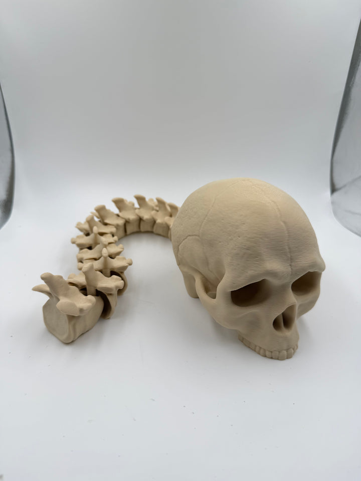 Articulated Skull and Spine Anatomy Model Realistic Medical Teaching Tool Halloween Decor