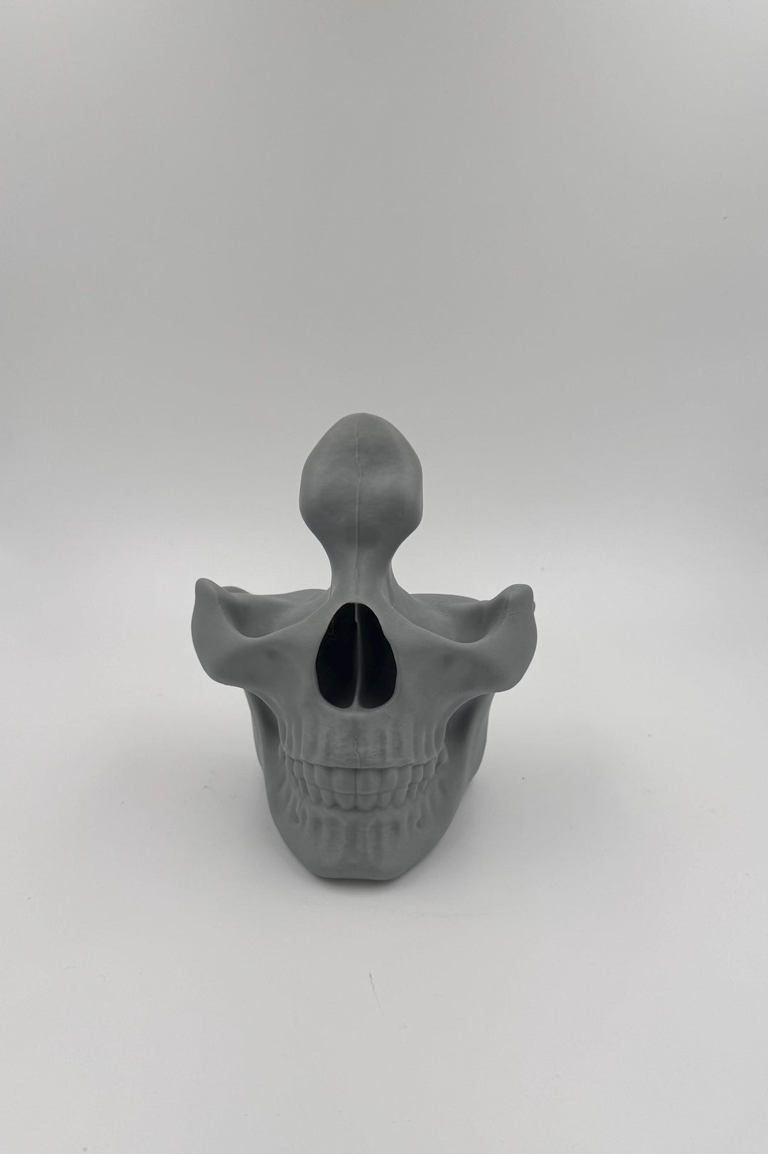 Glasses Skull display Anatomy Model Realistic Medical Teaching Tool Halloween Scientific Study Aid ,