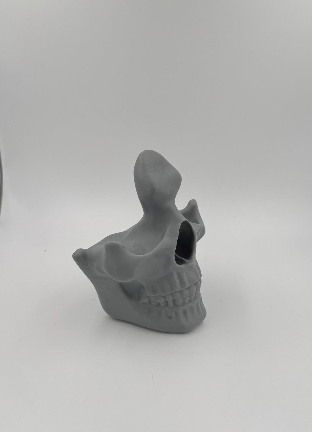 Glasses Skull display Anatomy Model Realistic Medical Teaching Tool Halloween Scientific Study Aid ,