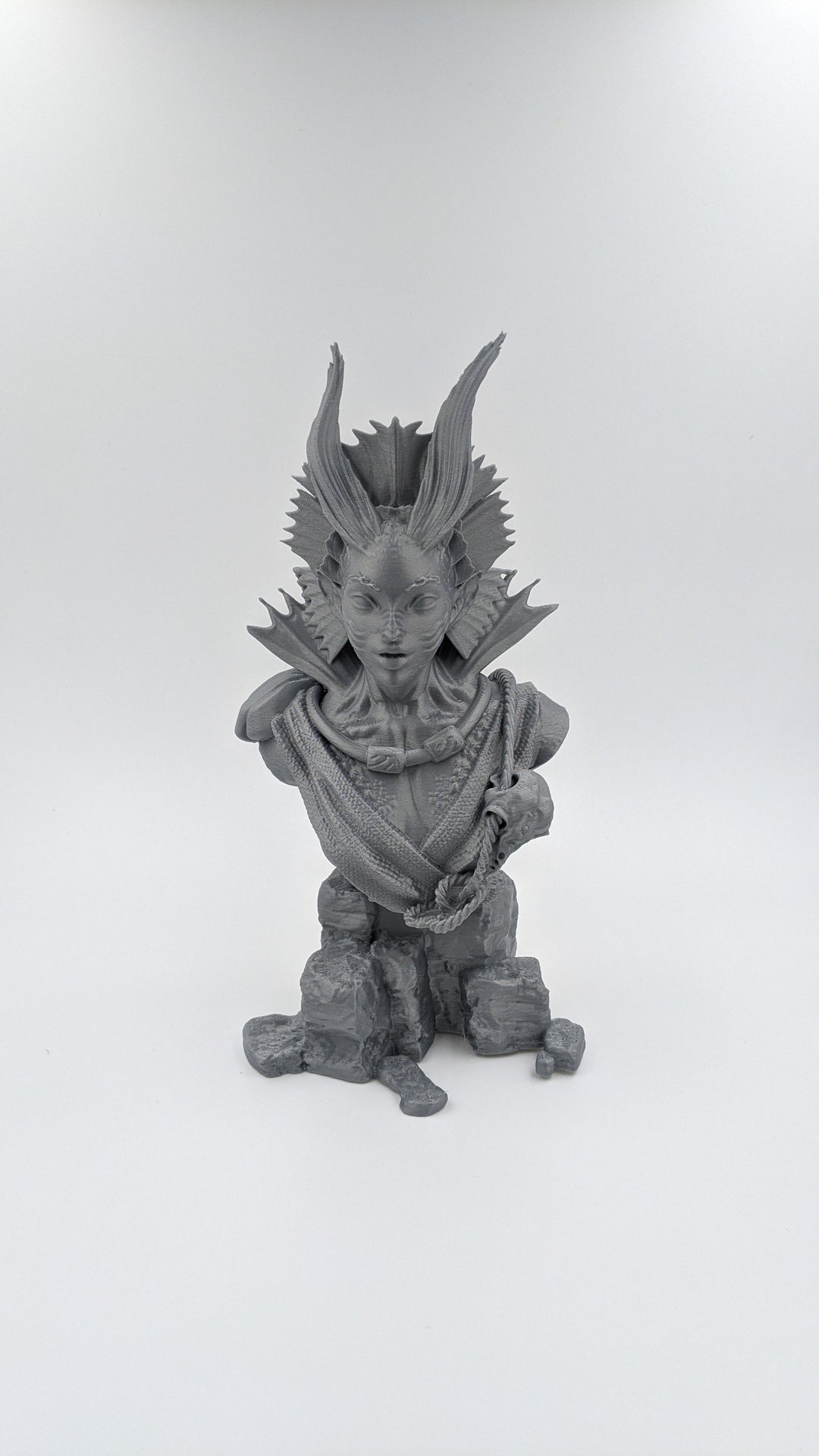Pirates Mermaid