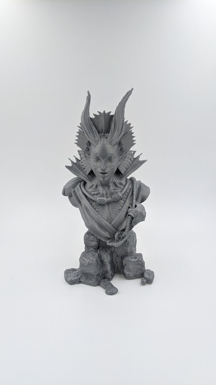 Pirates Mermaid