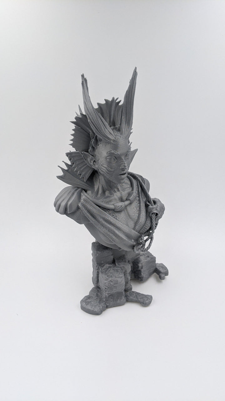 Pirates Mermaid